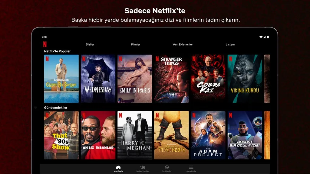 Netflix İzleme Geçmişi Silme Nasıl Yapılır ve Neden Önemli?