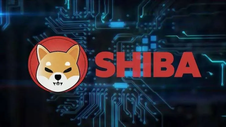 1 Shiba Kaç Dolar? Shiba Token Nedir?