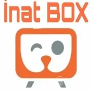 İnat box indir 2024! inat box indir! inat TV indir! İnat tv canlı maç izle!