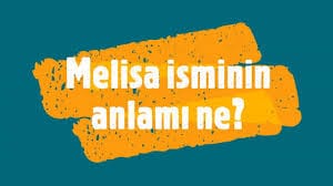 Melisa İsminin Anlamı, Numerolojisi  ve Kakteristik Özellikleri Nelerdir?