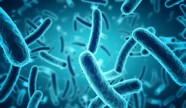 Bakteriyel Vajinozis Nedir, neden olur, belirtileri nelerdir?